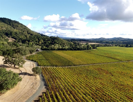 Aerial photography of the vineyard at Hafner