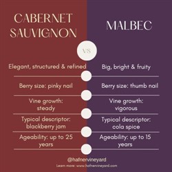Cabernet vs Malbec