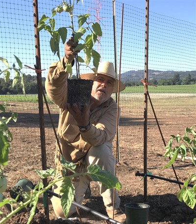 Jose Luis Food Bank Garden