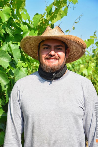 Eduardo in Vineyard